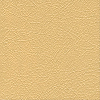 beige-leather-dye